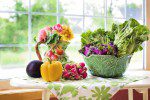 The Ultimate Healthy Living Bundle