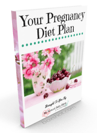 Your Pregnancy Diet Plan ebook